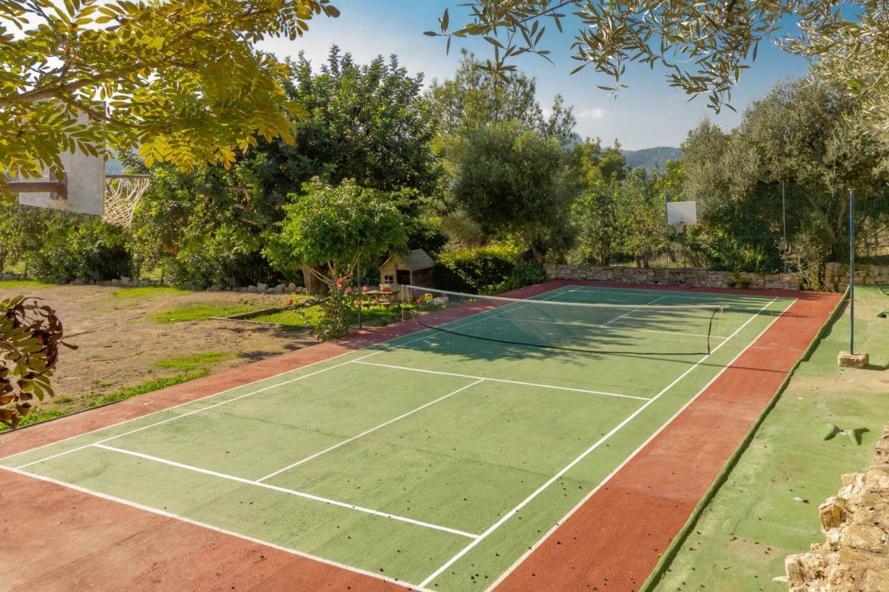 Es Serval :) Relax And Sports Alcudia  Dış mekan fotoğraf
